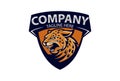 Modern Tiger Team Sports Logo Design