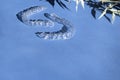 Invisible aligners teeth brackets on blue background with flower shadow Royalty Free Stock Photo