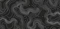 Modern topography stylized height of the lines map on black on white contours. Abstract pattern with swirls. Modern tree Royalty Free Stock Photo