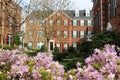 Modern townhouses in the spring Royalty Free Stock Photo