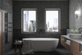 Modern tranquil home bathroom interior with modern amenities and rustic charm, a stunning new york city view. It blends elegance,