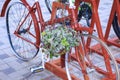 Modern transport concept. Original bicycle parking decorated with flowers Royalty Free Stock Photo