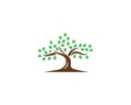 Modern Tree Logo Design