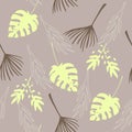 Modern Tropical Vector Seamless Pattern. Painted Floral Background. Dandelion Monstera Feather Banana Leaves Royalty Free Stock Photo