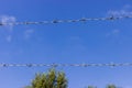 Modern twisted barbed wire stretched on a background of sky Royalty Free Stock Photo