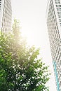 Modern typical multi storey apartment building skyscraper and green tree