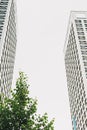 Modern typical multi storey apartment building skyscraper and the green tree