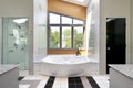 Modern upscale master bath