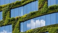 Modern urban architecture: green building with vertical garden facade Royalty Free Stock Photo