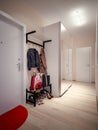 Modern Urban Contemporary Scandinavian hallway