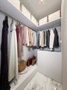 Modern Urban Contemporary Walk-in closet wardrobe