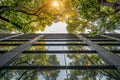 Modern urban eco friendly glass office building with tree for carbon dioxide reduction Royalty Free Stock Photo