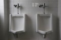 Modern urinal in men bathroom. Royalty Free Stock Photo