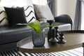 Modern vase and green leaf on center table with black and white pillows on sofa