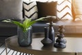 Modern vase and green leaf on center table with black and white pillows on sofa