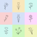 Modern vector line icons with different kind of garden flowers. Royalty Free Stock Photo