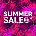 Modern vector poster summer sale limited time only Royalty Free Stock Photo
