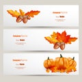 Modern Vector set of colorful autumn leaves and pumpkins bannFlat style website design with green apple illustration, Vector Royalty Free Stock Photo