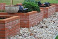 A modern vegetable garden with raised briks beds in autumn .nts herbs spices