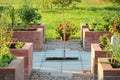 A modern vegetable garden with raised briks beds . .Raised beds gardening in an urban garden growing plants herbs spices