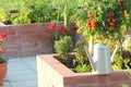 A modern vegetable garden with raised briks beds . .Raised beds gardening in an urban garden growing plants herbs spices