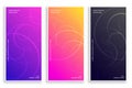 Modern vibrant elegant banners set