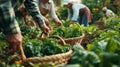 Modern Village fruit and vegetable picking scene.