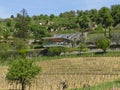 Modern vinery in Croatia - Istria Royalty Free Stock Photo