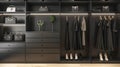 Modern walk-in closet with elegant black dresses and shoes