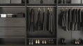 Modern walk-in closet with elegant black dresses and shoes