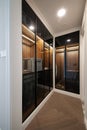 Modern Wardrobe: Sleek Design for Stylish Storage