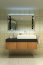 Modern washroom