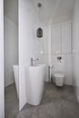 Modern water closet with miror and white walls Royalty Free Stock Photo