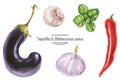 Watercolor vegetable set for Mediterranean and Middle Eastern cuisines