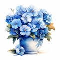 Modern Watercolor Primrose Arrangement Clipart With French Blue Hues Royalty Free Stock Photo