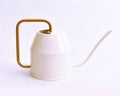 Modern watering can with gold handle