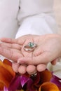 Modern Wedding hands and rings in palm -Beach