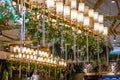 Modern wedding scene with crystal lamps and green plants on the ceiling