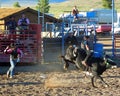 Modern Western Rodeo Event Royalty Free Stock Photo