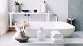 Modern White Bathroom Interior Design. Contemporary Apartment Concept Front View Stylish Room, Elegant Bathtub Counter. Generative