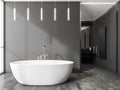 Modern white bathtub in grey bathroom with vanity on background