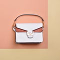 Modern white and brown leather female handbag with black trim, and a golden buckle clasp Royalty Free Stock Photo