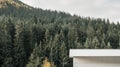 a modern white building nestled amidst a serene coniferous forest.