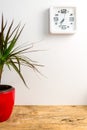 Modern white clock on the wall and green plant on wooden table.