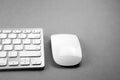 Modern & white computer mouse and keyboard Royalty Free Stock Photo