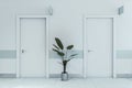 Modern corridor interior with doors and decorative plant. Hospital or office concept. 3D Rendering Royalty Free Stock Photo