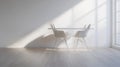 Minimalist Dining Room Interior with Chairs and Sunbeam. Royalty Free Stock Photo