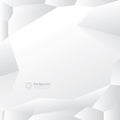 Modern white gray polygon abstract background