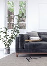 Modern white interior with black sofa Royalty Free Stock Photo