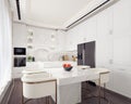 Modern white kitchen interior design